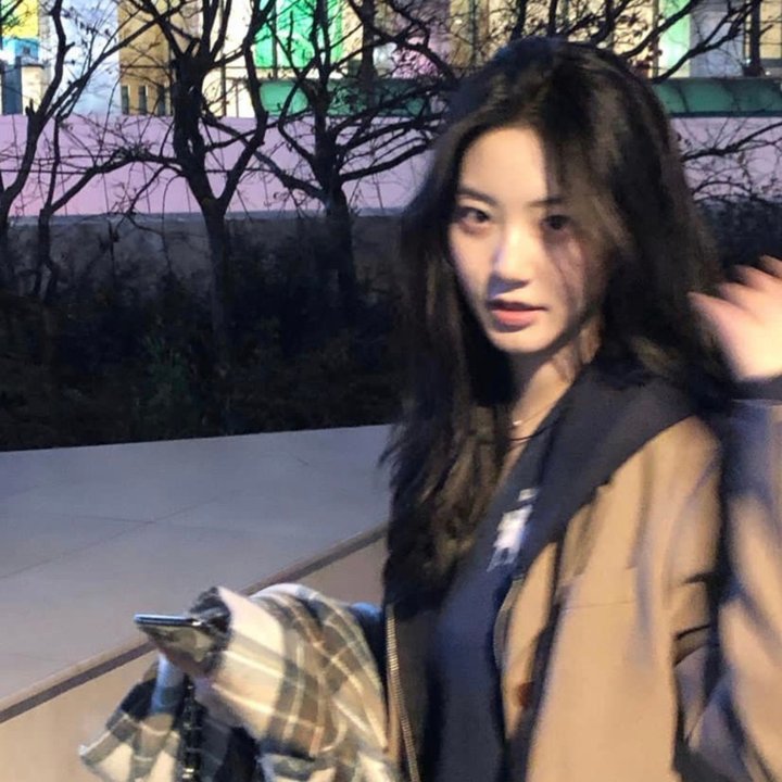 我的女主别太萌